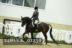 24BUCK_01259 thumbnail