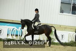 24BUCK_01260 thumbnail