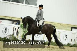 24BUCK_01262 thumbnail
