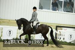 24BUCK_01263 thumbnail