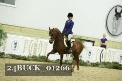 24BUCK_01266 thumbnail