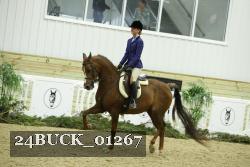 24BUCK_01267 thumbnail