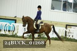 24BUCK_01268 thumbnail