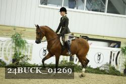 24BUCK_01269 thumbnail