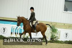 24BUCK_01270 thumbnail