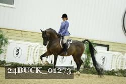 24BUCK_01273 thumbnail