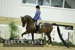 24BUCK_01274 thumbnail