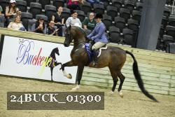 24BUCK_01300 thumbnail
