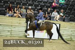 24BUCK_01301 thumbnail