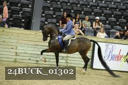24BUCK_01302 thumbnail