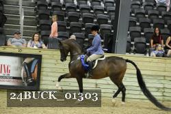 24BUCK_01303 thumbnail