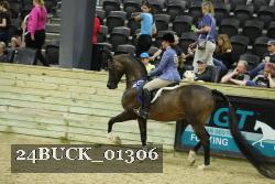 24BUCK_01306 thumbnail