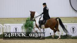 24BUCK_01310 thumbnail