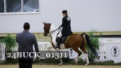 24BUCK_01311 thumbnail