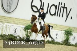 24BUCK_01312 thumbnail
