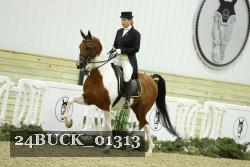 24BUCK_01313 thumbnail