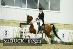 24BUCK_01314 thumbnail