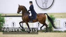 24BUCK_01315 thumbnail