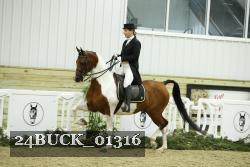 24BUCK_01316 thumbnail