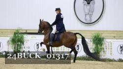 24BUCK_01317 thumbnail