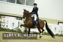 24BUCK_01320 thumbnail