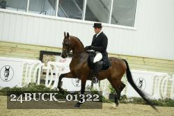 24BUCK_01322 thumbnail