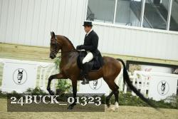24BUCK_01323 thumbnail