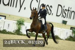 24BUCK_01329 thumbnail