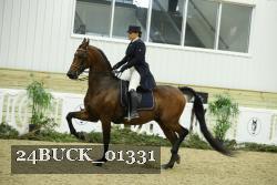 24BUCK_01331 thumbnail
