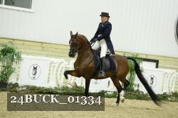 24BUCK_01334 thumbnail