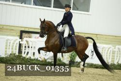 24BUCK_01335 thumbnail