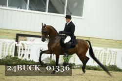 24BUCK_01336 thumbnail
