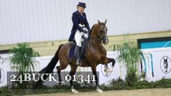 24BUCK_01341 thumbnail