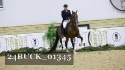 24BUCK_01345 thumbnail