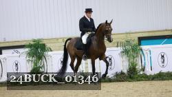 24BUCK_01346 thumbnail