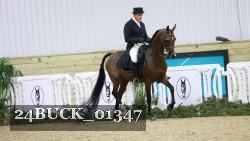 24BUCK_01347 thumbnail