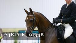 24BUCK_01348 thumbnail