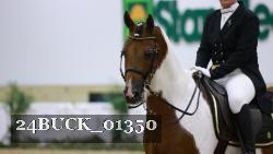 24BUCK_01350 thumbnail