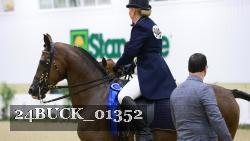 24BUCK_01352 thumbnail