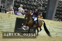 24BUCK_01354 thumbnail