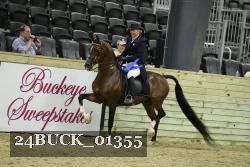 24BUCK_01355 thumbnail