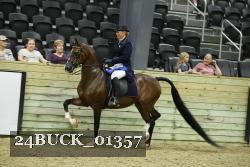24BUCK_01357 thumbnail