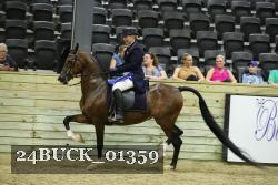 24BUCK_01359 thumbnail