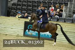 24BUCK_01362 thumbnail
