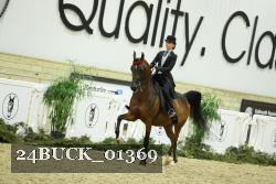 24BUCK_01369 thumbnail