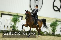 24BUCK_01370 thumbnail