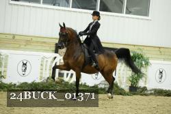 24BUCK_01371 thumbnail