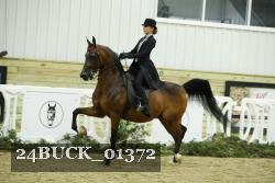 24BUCK_01372 thumbnail