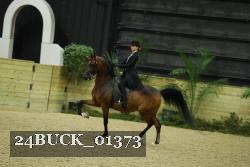 24BUCK_01373 thumbnail