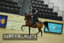 24BUCK_01374 thumbnail